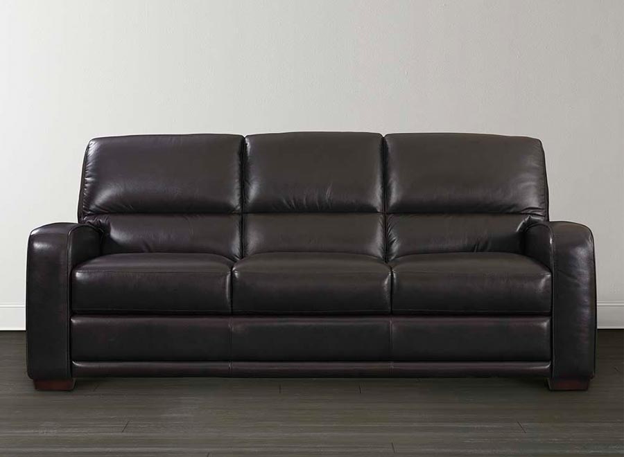 Leather Sofa